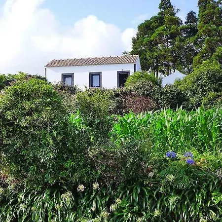 Appartamento Areias De Prainha Prainha De Cima - Pdl021005-cya Prainha (Sao Roque do Pico)